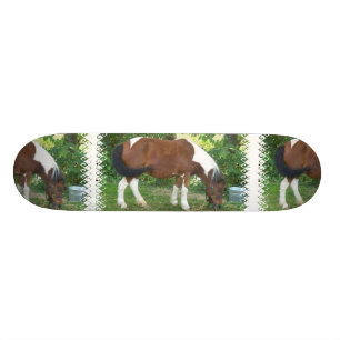 Skateboard Pâturage de la planche à roulettes de poney