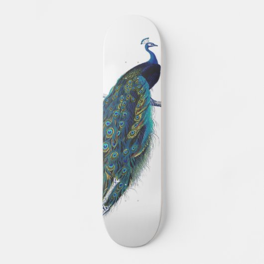 Skateboard Pavillon bleu avec de belles plumes de queue (Recto)