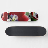 Skateboard Pays-Bas (alias Holland), Lisse. Keukenhof 3 (Horz)