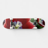 Skateboard Pays-Bas (alias Holland), Lisse. Keukenhof 3 (Horz)
