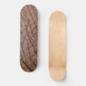 Skateboard Peau d'éléphant (Recto)