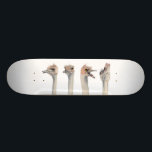 Skateboard Peinture drôle d'autruches "de reine de drame"<br><div class="desc">C'est une peinture d'une autruche que j'ai rencontrée au zoo de Como à St Paul, manganèse. Il était vraiment expressif et était sujet un grand à prennent des photos de. Plus tard j'ai peint ses différentes expressions dans l'aquarelle.</div>