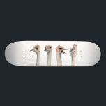 Skateboard Peinture drôle d'autruches "de reine de drame"<br><div class="desc">C'est une peinture d'une autruche que j'ai rencontrée au zoo de Como à St Paul,  manganèse. Il était vraiment expressif et était sujet un grand à prennent des photos de. Plus tard j'ai peint ses différentes expressions dans l'aquarelle.</div>