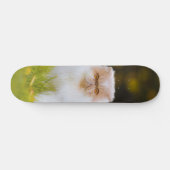 Skateboard Peludo gato persa observando (Horz)