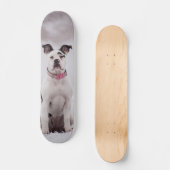 Skateboard Perro Boxer sentado en la nieve (Recto)
