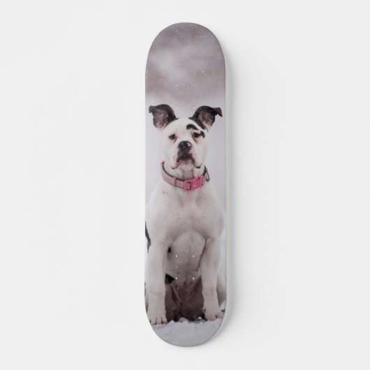 Skateboard Perro Boxer sentado en la nieve (Devant)