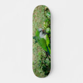 Skateboard Perroquet vert (Devant)