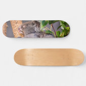 Skateboard Petit koala doux (Horz)