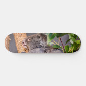 Skateboard Petit koala doux (Horz)