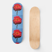 Skateboard Phoenix Rose dans le Sky-skateboard (Recto)