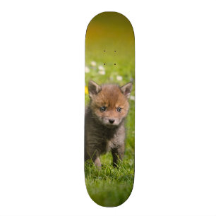 Skateboard Photo animale de bébé sauvage pelucheux mignon de