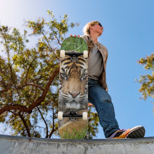 Skateboard Photo de la faune du tigre de Sumatran (Extérieur 1)