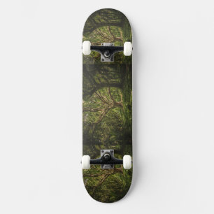Skateboard Photo du motif de la forêt verte