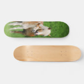 Skateboard Photo mignonne de maman de baiser de poulain de (Horz)