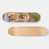 Skateboard Photo puppyeyed mignonne de chiot de chien de (Horz)