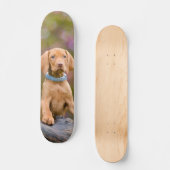 Skateboard Photo puppyeyed mignonne de chiot de chien de (Recto)