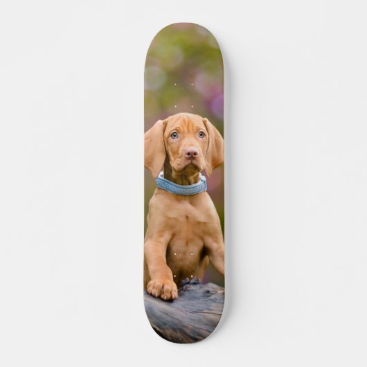 Skateboard Photo puppyeyed mignonne de chiot de chien de (Devant)