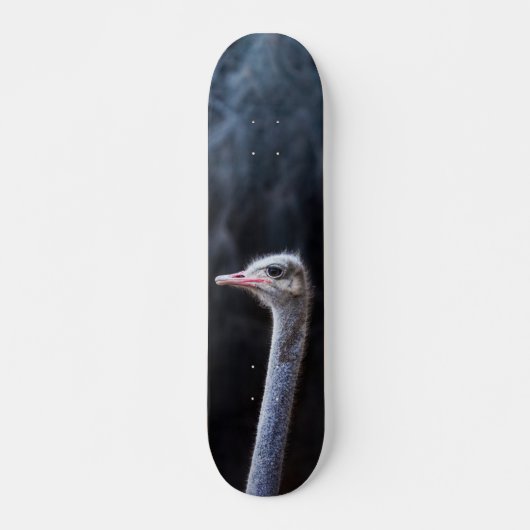 Skateboard Photographie d'autruche (Devant)