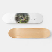 Skateboard Pic à ventre rouge (Horz)