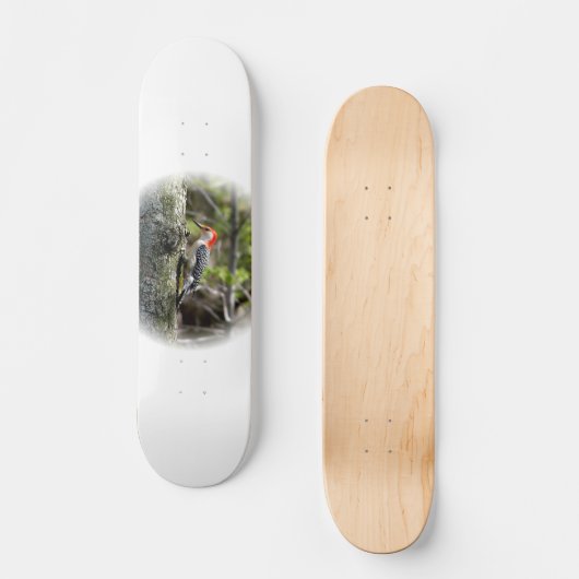 Skateboard Pic à ventre rouge (Recto)