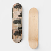 Skateboard Pièces d'échecs d'échiquier et (Recto)
