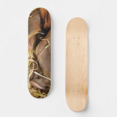 SKATEBOARD PIG (Recto)