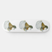 Skateboard Pigeon Trompette AOC Baldhead (Horz)