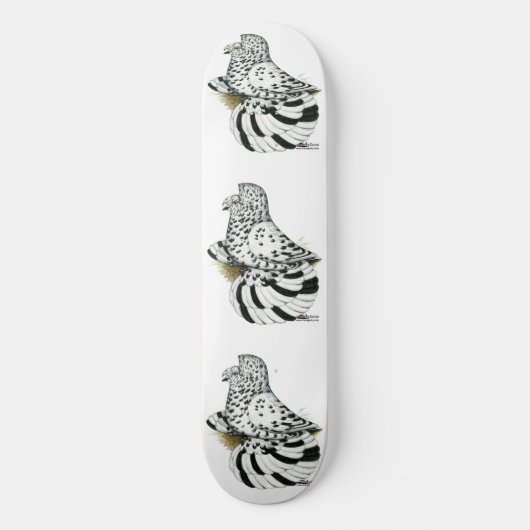 Skateboard Pigeon Trompette Léger Splash (Recto)