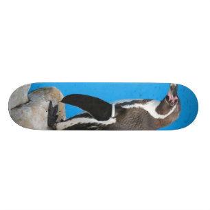 Skateboard Pingouin en parc de Harewood