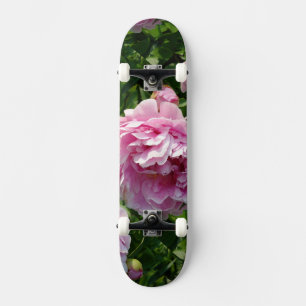 Skateboard Pink Peony photo cottage ferme jardin fleuri