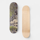 Skateboard Pissarro - Boulevard Montmartre, Printemps (Recto)