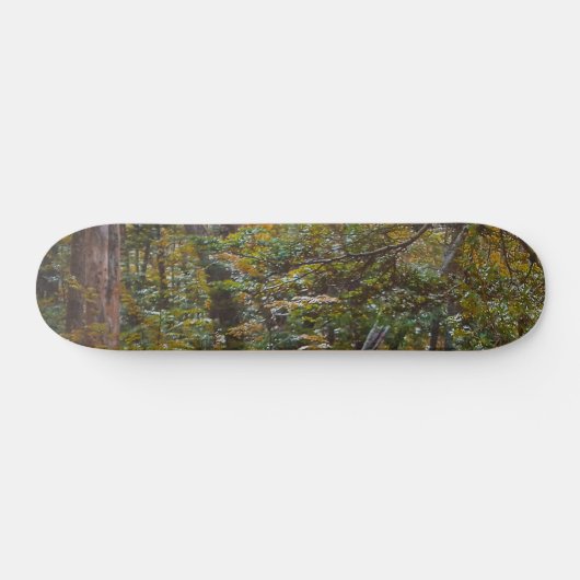 Skateboard Piste forestière enchantée (Horz)