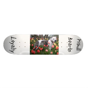 Skateboard Pitbull embarque… Fidélité