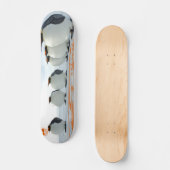Skateboard Plaisir Penguin Au Soleil (Recto)