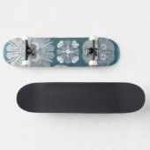 Skateboard Plan directeur de la vie marine IV (Horz)