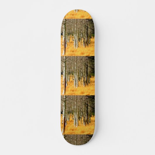 Skateboard planche à roulettes (Devant)