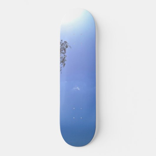 SKATEBOARD PLANCHE À ROULETTES (Recto)