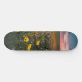 Skateboard Planche à roulettes (Horz)
