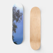 SKATEBOARD PLANCHE À ROULETTES (Recto)