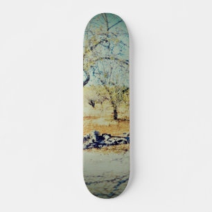 Skateboard planche à roulettes