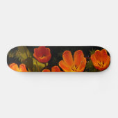 Skateboard Planche à roulettes (Horz)