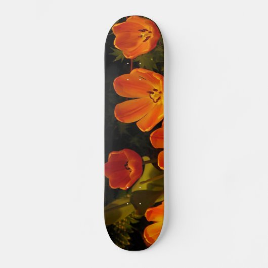 Skateboard Planche à roulettes (Recto)