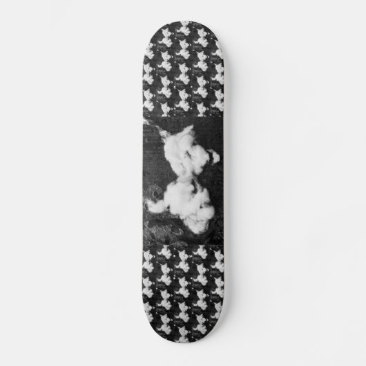 Skateboard planche à roulettes (Recto)