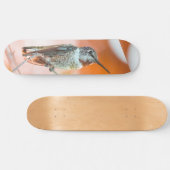 Skateboard Planche à roulettes (Horz)