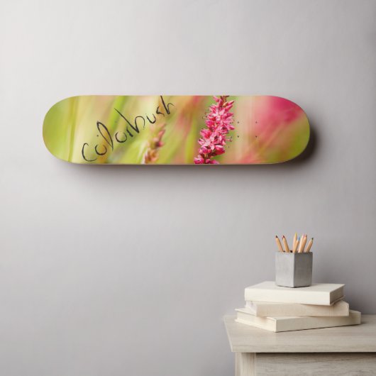 Skateboard planche à roulettes (Art mural (Horz))