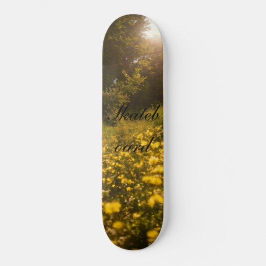 Skateboard Planche à roulettes (Recto)