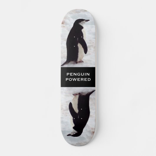 Skateboard Planche à roulettes actionnée par pingouin (Recto)