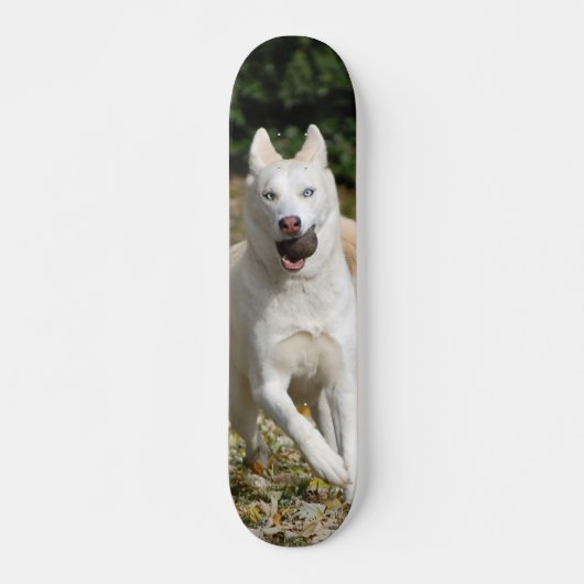 Skateboard Planche à roulettes blanche de chien de traîneau (Devant)