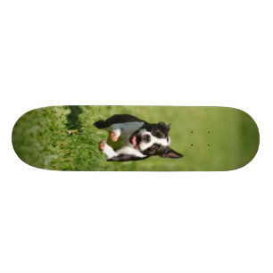 Skateboard Planche à roulettes courante de Boston