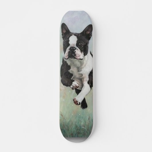 Skateboard Planche à roulettes de Boston Terrier (Devant)